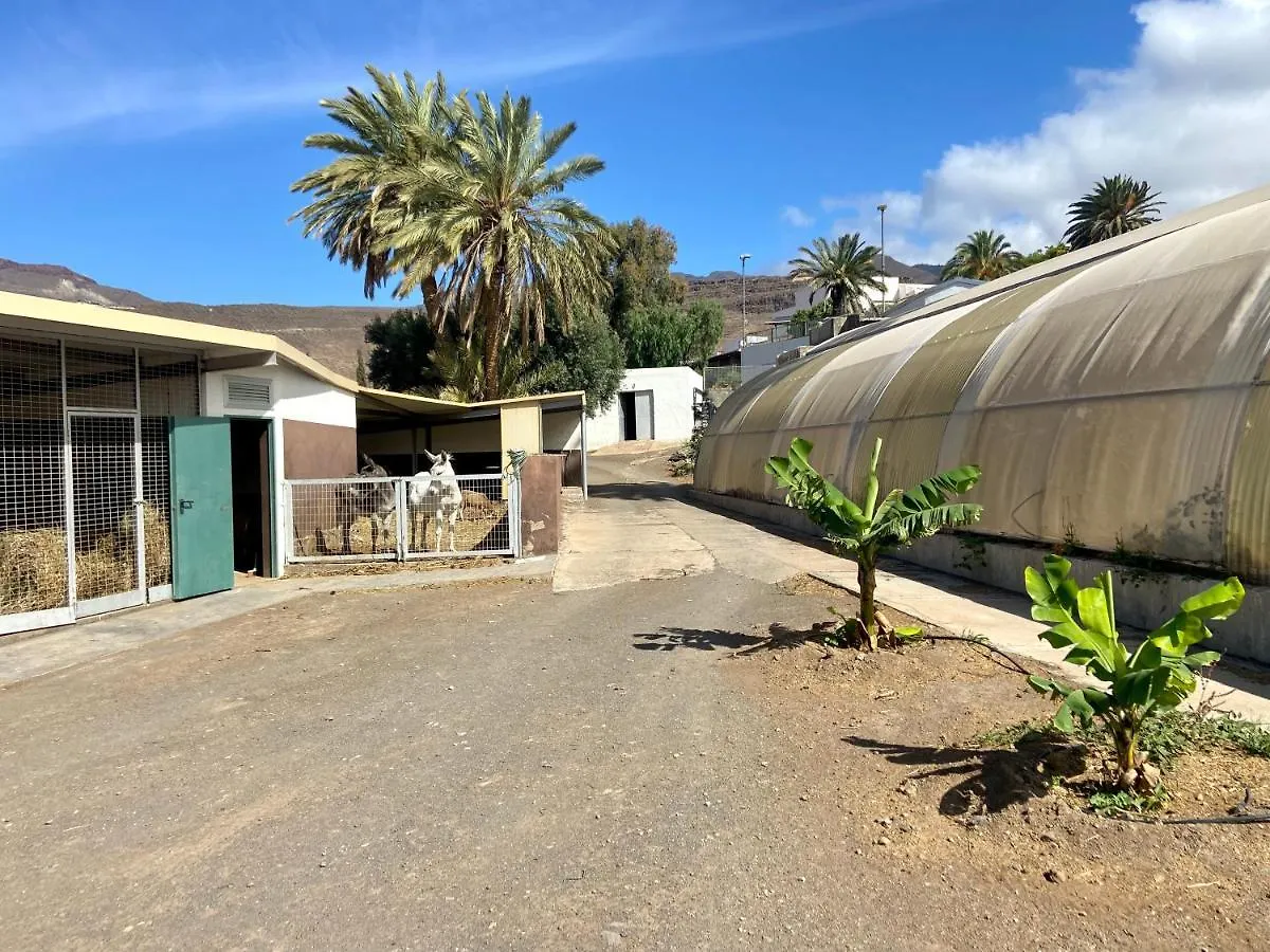 Vakantiehuis Finca Los Quevedo - Los Corralillos Agüimes